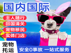 胶东机场空运国际宠物托运 【国